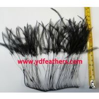 Partially Stripped Ostrich Feather Fringe On Cord from China thumbnail image