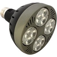 New Design 25W-35W LED Par30 lamp thumbnail image
