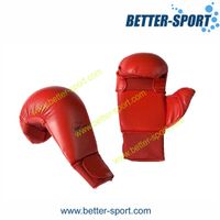 Karate Glove, Boxing Glove, Taekwondo Glove thumbnail image
