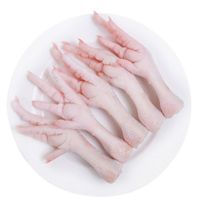 Processed Grade A Frozen Chicken Feet & Paws thumbnail image