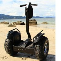 Two Wheel Self Balancing Electric Scooter,China Electric Chariot thumbnail image