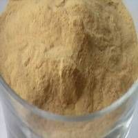 Willow Bark Extract.D-Salicin 15%; 20%,98%HPLC. thumbnail image