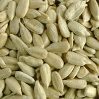 sunflower seeds available thumbnail image