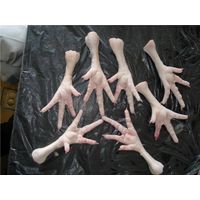 Grade A Frozen Chicken Feet & Paws For Sale. thumbnail image