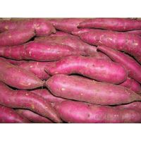 Fresh Sweet Potatoes thumbnail image