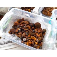 Quality Grade A Ox Gallstones / Cow Gallstones For Sale thumbnail image