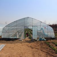 High Hoop Tunnel Polyethylene Film Single-span Greenhouse For Agriculture thumbnail image