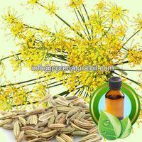 100% Pure Fennel Essential Oil thumbnail image