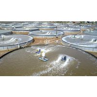 Rapid developments of fish farms in Indonesia thumbnail image