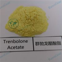 Trenbolone Acetate Raw Powder CAS 10161-34-9 Tren Ace injection thumbnail image
