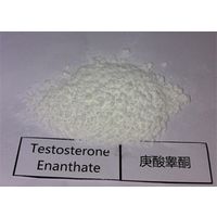 Testosterone Enanthate POWDER Anabolic Steroids Powder Test Enanthate CAS 315-37-7 Direct Factory thumbnail image