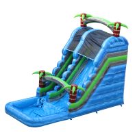 Commercial Inflatable Water Slide with small pool For Kids and Adults thumbnail image