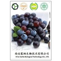 Super Antioxidant 100% natural plant extract Acai berry extract /Acai Extract 10:1/Acai juice powder thumbnail image