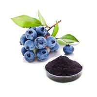 High quality Bluebery Fruit/Juice Powder,blueberry red juice concentrated,whole sale thumbnail image
