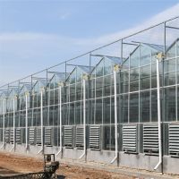 Multi-span Agricultural Greenhouses Tropical Solar Hydroponic Glass Greenhouse Flower Vegetable Grow thumbnail image