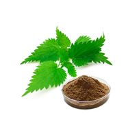 100% Natural High Quality Stinging Nettle Extract/Nettle root Extract with Silicon 7% thumbnail image