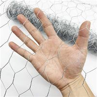 Hexagonal Wire Mesh     hexagonal mesh     hexagonal gabion box     chicken egg layer cages   thumbnail image