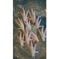 Frozen Chicken Feet and paws thumbnail image
