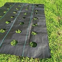 Weed Control Fabric Ground Cover Sheet Membrane for Driveway Allotment, Garden, Path, Patio & Deckin thumbnail image