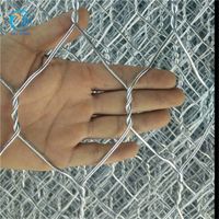 hot dipped galvanized stone cage/gabion box/rock filled gabion baskets(factory) thumbnail image