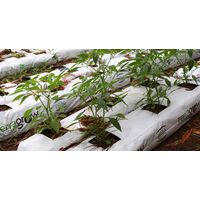 Grow bags with Coco pith/huskchip/chopped fibre thumbnail image