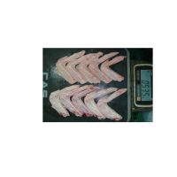 Frozen whole duck, duck feet and duck wings thumbnail image