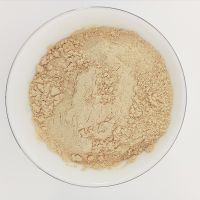 China Supplier Selling Ginseng fruit powder Plant Extracts thumbnail image
