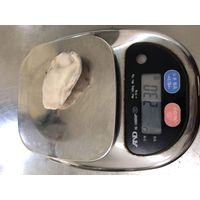 Frozen Oyster Meat thumbnail image