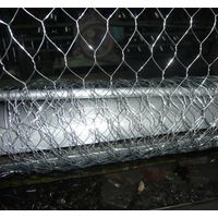 Stainless Steel Rating Chicken Wire Mesh thumbnail image