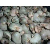Raw Cashew Nut in Shell thumbnail image