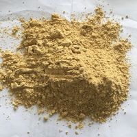 Best Quality Dried Ginger Powder thumbnail image