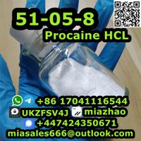 PROCAINE hydrochloride CAS 51-05-8 custom clearance best price with free sample thumbnail image