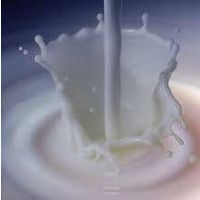 Liquid milk thumbnail image