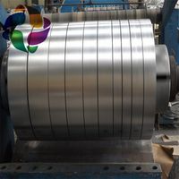 SAE 1050 steel High Carbon Cold Rolled Steel Strips thumbnail image