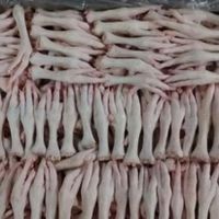 Processed Grade A Frozen Chicken Feet & Paws thumbnail image