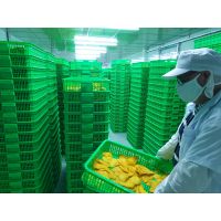 Soft Dried Papaya With Papaya Fruit - Wholesales Manufacturer in Vietnam Natural Colors Good P thumbnail image