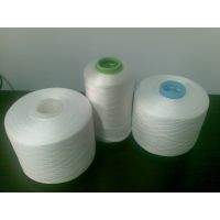 Twisted Nylon6.6 filament greige Sewing Thread thumbnail image