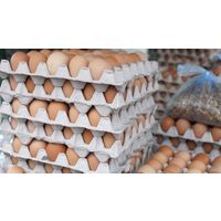 Brown Chicken Eggs thumbnail image