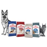 royal canin cat and dog food. https://www.turkishmetromarket.com/product/royal-canin-cat-and-dog-foo thumbnail image