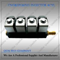 CNG Cars Conversion Kits Injector Rail thumbnail image