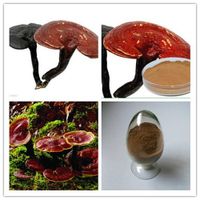Ganoderma Lucidum Extract(Raw material for medicine and food supplement) thumbnail image