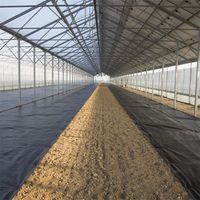 Agriculture Photovoltaic Panel Greenhouse Agriculture Photovoltaic Solar Glass Greenhouse thumbnail image