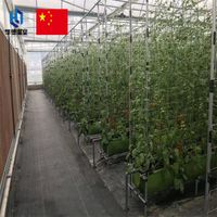 Multi-span commercial greenhouse thumbnail image