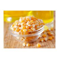 Corn oil. thumbnail image