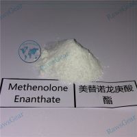 Methenolone Enanthate Primobolan Powder 99.3% Purity thumbnail image
