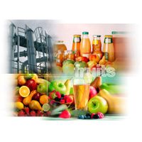 Fruit processing Plant, fruit plant, fruit juice processing machine, apple/pear/peach/grapes/banana/ thumbnail image