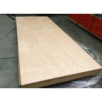 1.22x3.66m and 122x366cm plywood made in China thumbnail image