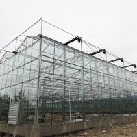 Multi-span Agricultural Greenhouses Tropical Solar Hydroponic Glass Greenhouse Flower Vegetable Grow thumbnail image