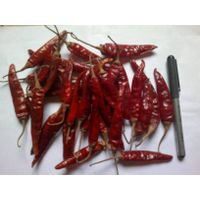 dry red chilli thumbnail image