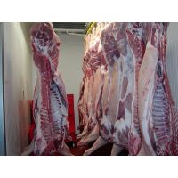 Frozen Pork Meat, Pork Feet, Pork Ribs, Pork Tongue, Pork Carcass, Pork Shoulder thumbnail image